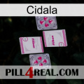 Cidala 33